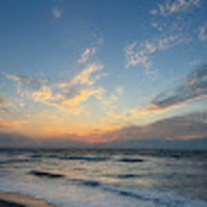 Meet your Posher, Naomi